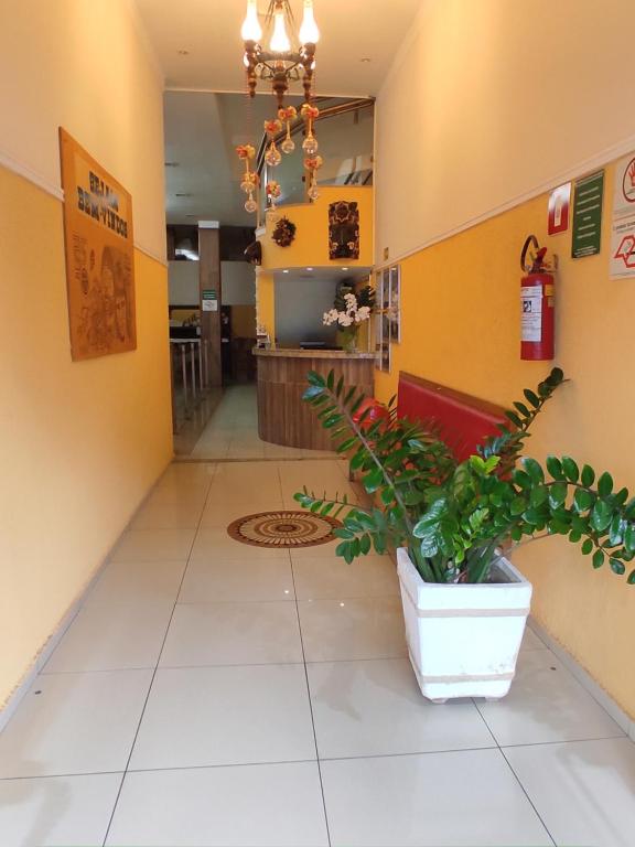 a hallway of a restaurant with a potted plant at Hotel Avenida Tupã in Tupã