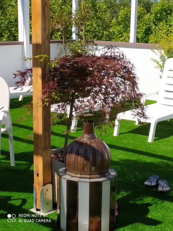 Zahrada ubytování Kristalex Pet Family Hotel