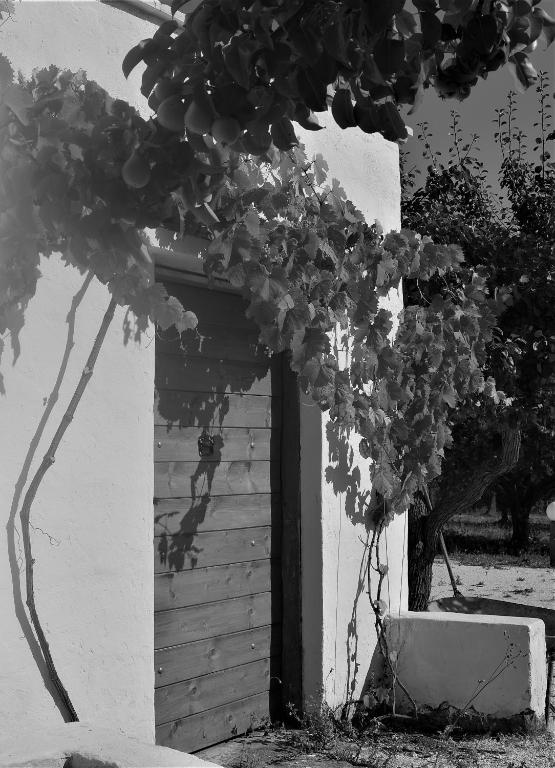 Fotografia z galérie ubytovania La Chianca Ritrovata - trulli in valle d'Itria v destinácii Martina Franca