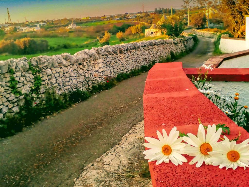 Fotografia z galérie ubytovania La Chianca Ritrovata - trulli in valle d'Itria v destinácii Martina Franca