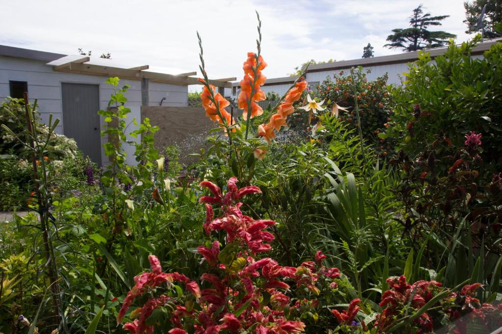 Magnolia House - Resim 28