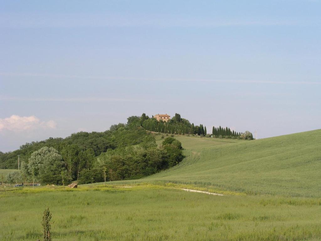 a house on top of a hill in a field at Villa Il Colle di Monteaperti in Casetta