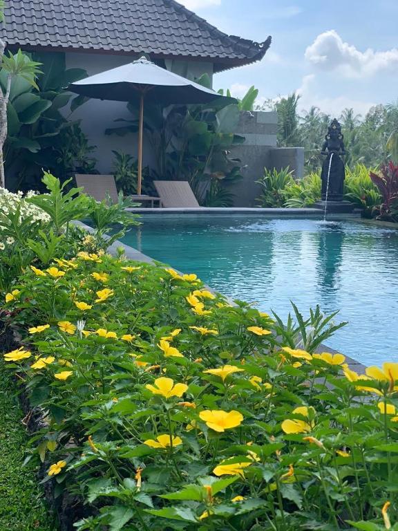 Bazén v ubytování Paraiso Cottage Ubud nebo v jeho okolí