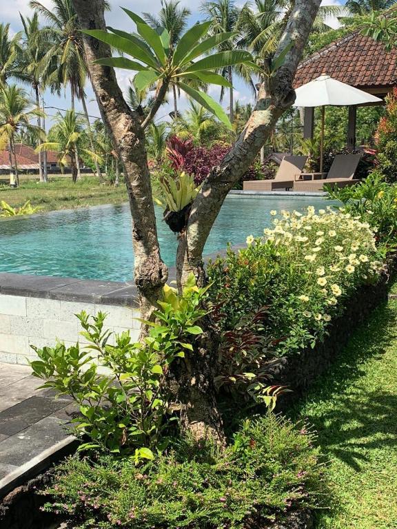 Zahrada ubytování Paraiso Cottage Ubud