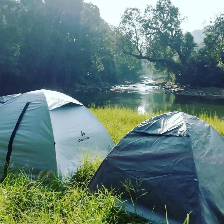Příroda nedaleko luxury tent