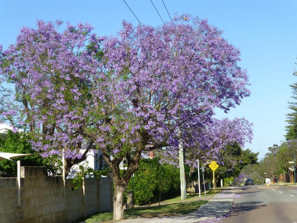 Galeriebild der Unterkunft Lakeside Bed & Breakfast in Perth