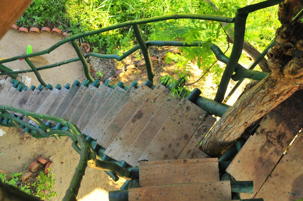 Zahrada ubytování Yala Beddegama Eco