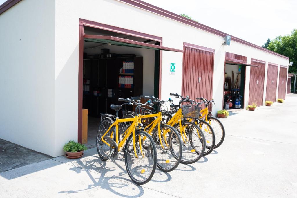 Jízda na kole v ubytování Hotel Passacor - Business & Bike nebo okolí
