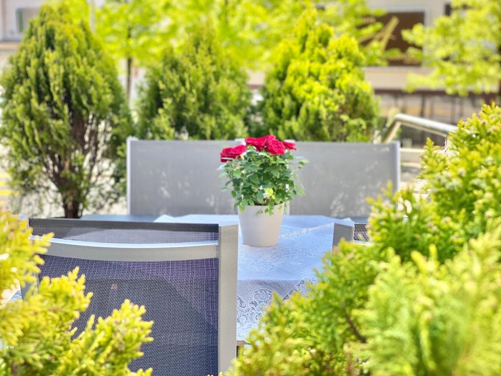 Fotografie z fotogalerie ubytování Hotel Hirschen Hinwil v destinaci Hinwil