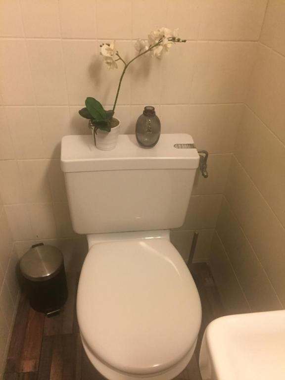 Koupelna v ubytování Petit Appart de Charme Eau chaude solaire Rénovation 2021 Wifi disponible Belvedere 5