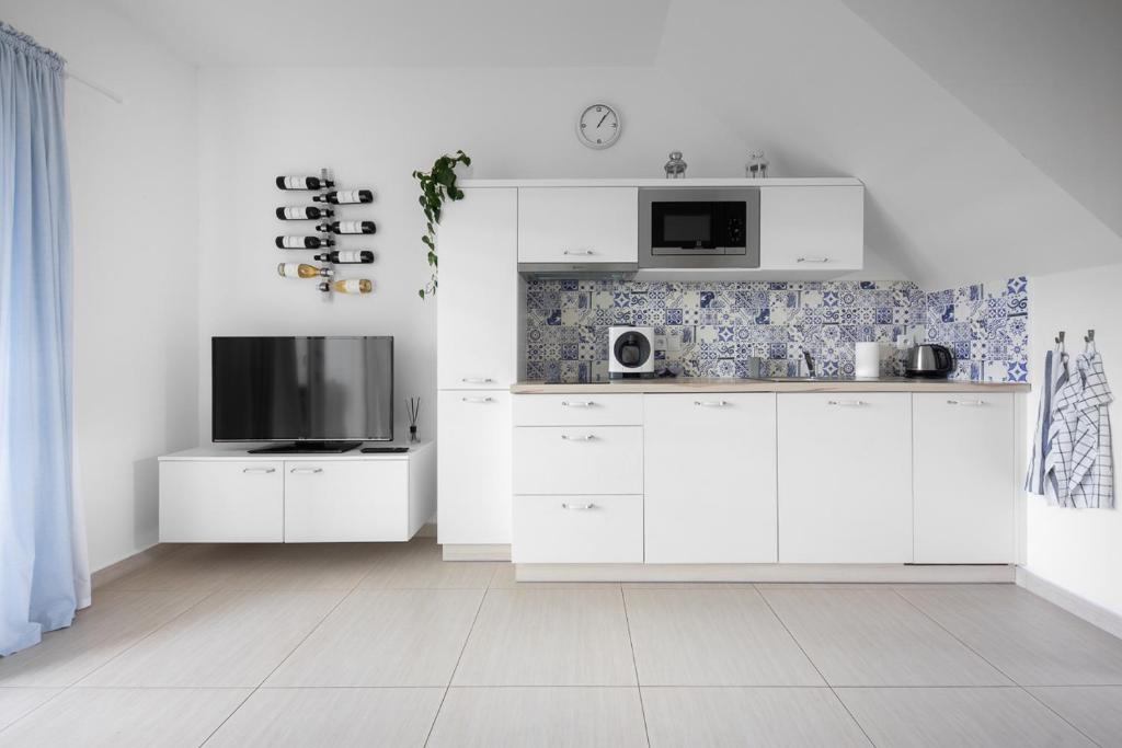 Kuchyň nebo kuchyňský kout v ubytování Apartmán Ema Dolní Dunajovice