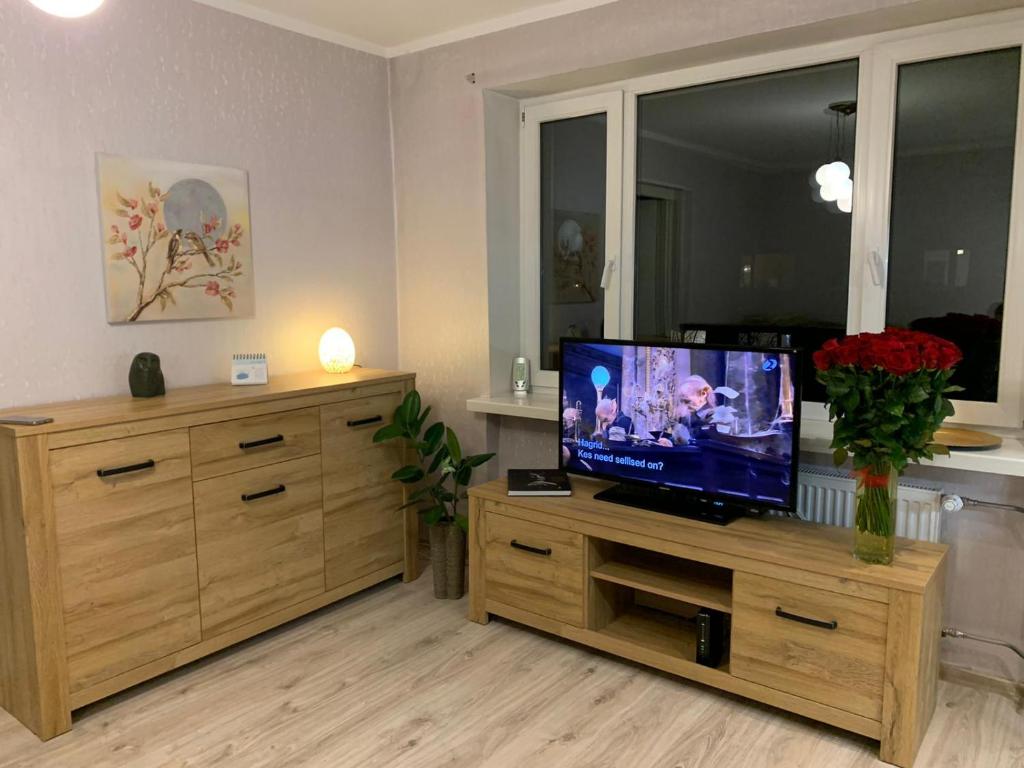 TV a/nebo společenská místnost v ubytování Riverside Apartment Pärnu