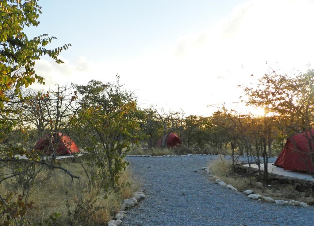 a group of tents in the middle of a gravel road at Etosha Village Campsite in Okaukuejo