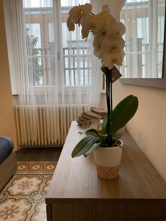 Angolo di isa - Apartment - Erdgeschoss