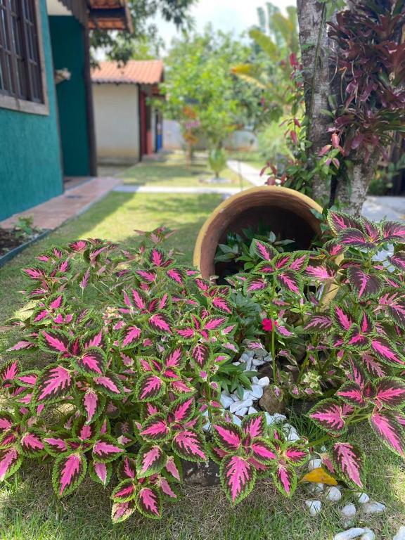  Pousada Pedra Nica