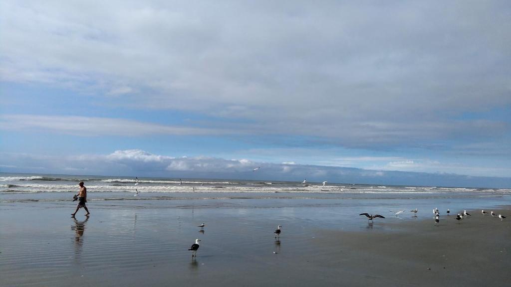  Seu AP na Vila Caiçara