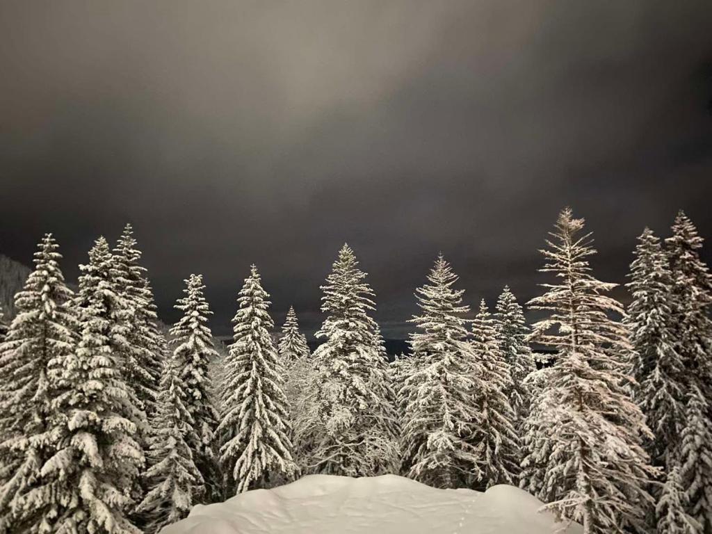 a forest of snow covered trees with a cloudy sky at Jahorina 7Lux in Jahorina