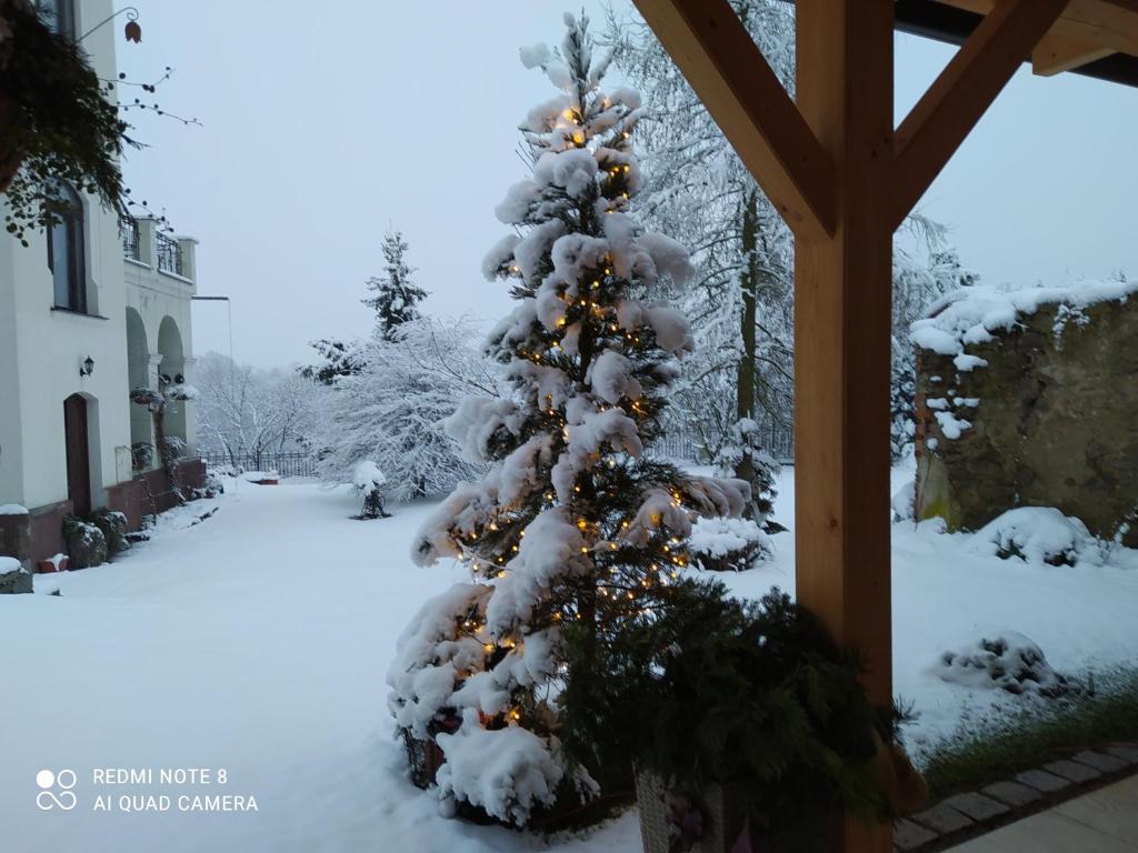 Villa Liduška s kavárnou v zimě