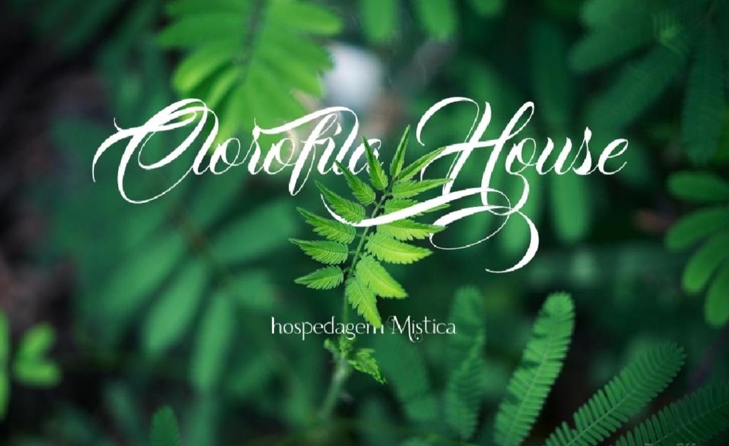  Clorofila House
