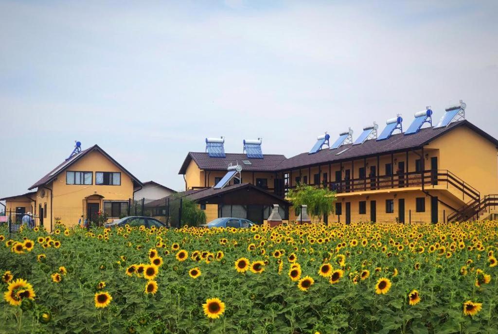 コルブにあるCasa de la Corbuの家の前のひまわり畑