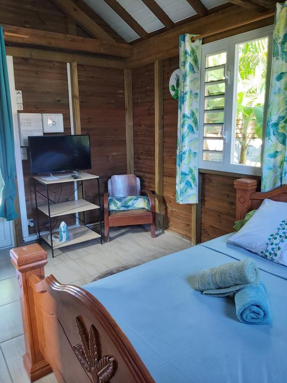 a bedroom with a bed and a tv and a chair at An Ti Kaz La in Sainte-Anne