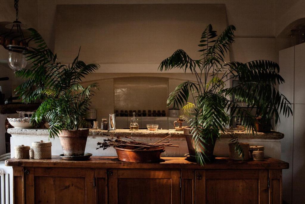 Fotografie z fotogalerie ubytování Albergo Diffuso Crispolti v destinaci Labro