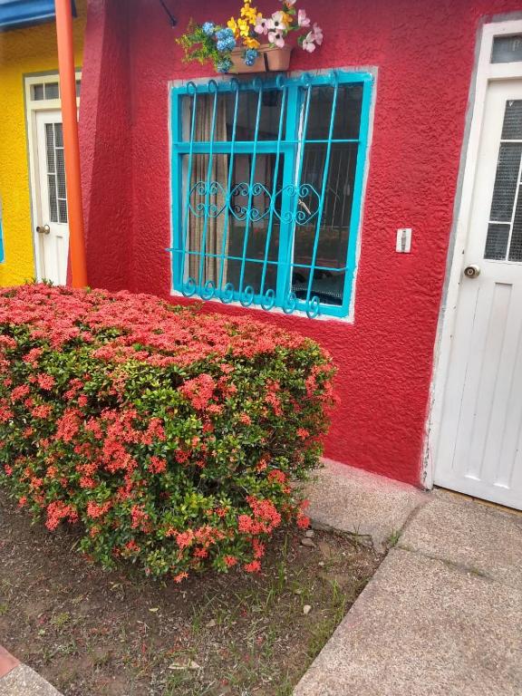 Zahrada ubytování Villa San Nicolás
