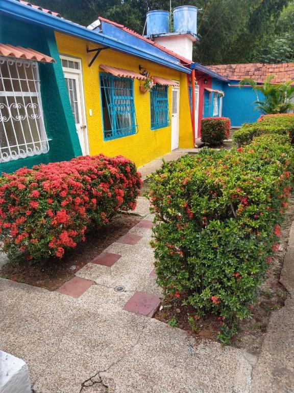 Zahrada ubytování Villa San Nicolás