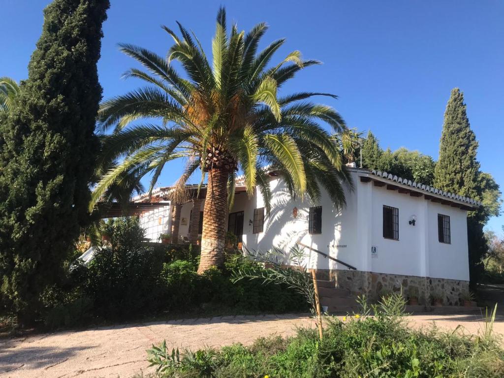 Casa Algarrobo, Pizarra – Bijgewerkte prijzen 2022