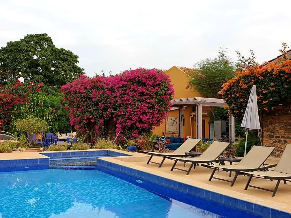 Villa Charles - île de Gorée tesisinde veya buraya yakın yüzme havuzu