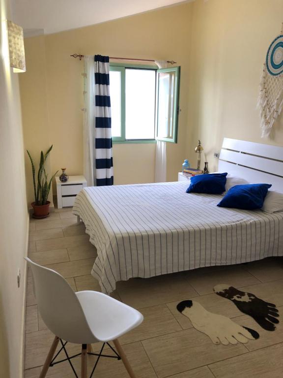 圣玛丽亚More then a beautiful apart The real Morabeza Capeverdean hospitality的卧室配有一张床,地板上放着一只狗