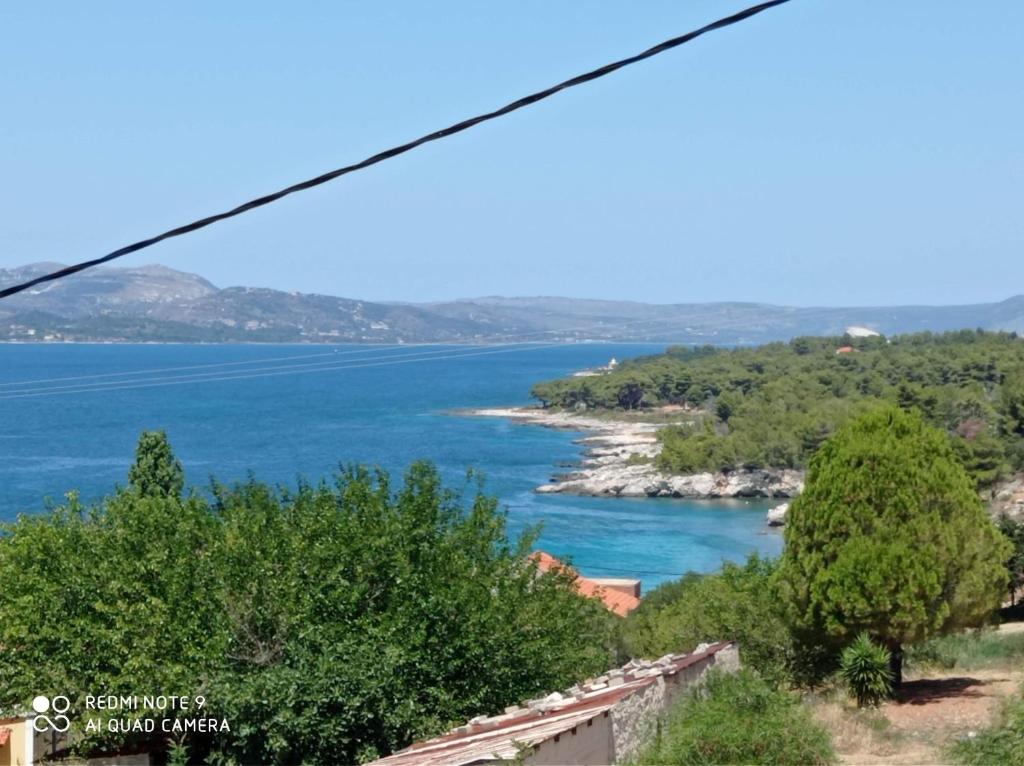 Príroda v okolí kapsulového hotela