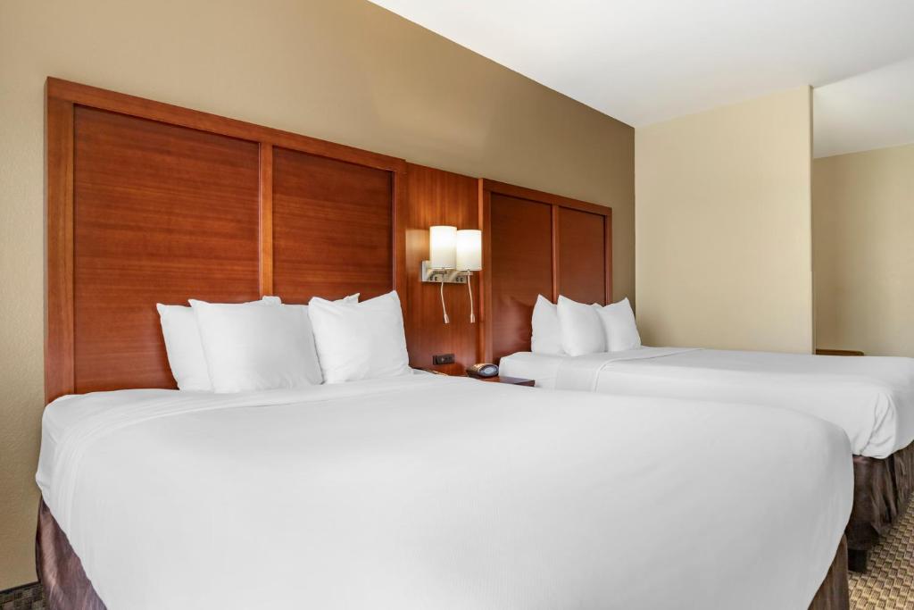 Comfort Suites Medical Center near Six Flags - Suite Queen Con Dos Camas Queen - No Fumadores