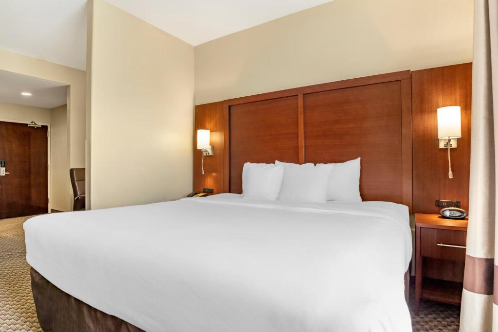 Comfort Suites Medical Center near Six Flags - King Suite: Accesible/no Fumar