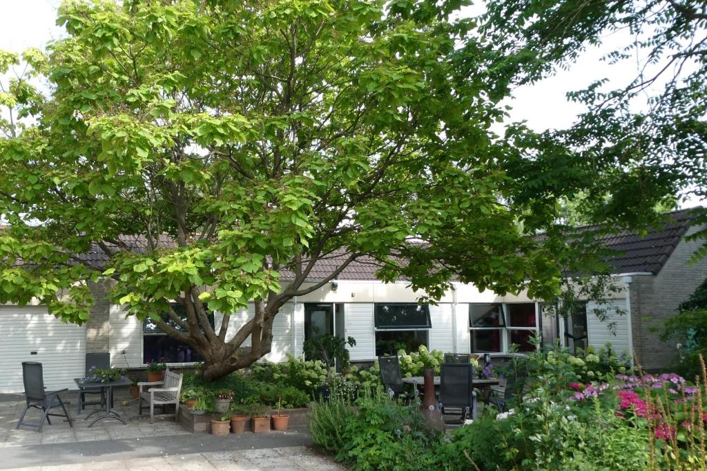 een huis met een boom in de tuin bij Huis bij de Catalpa in Dordrecht