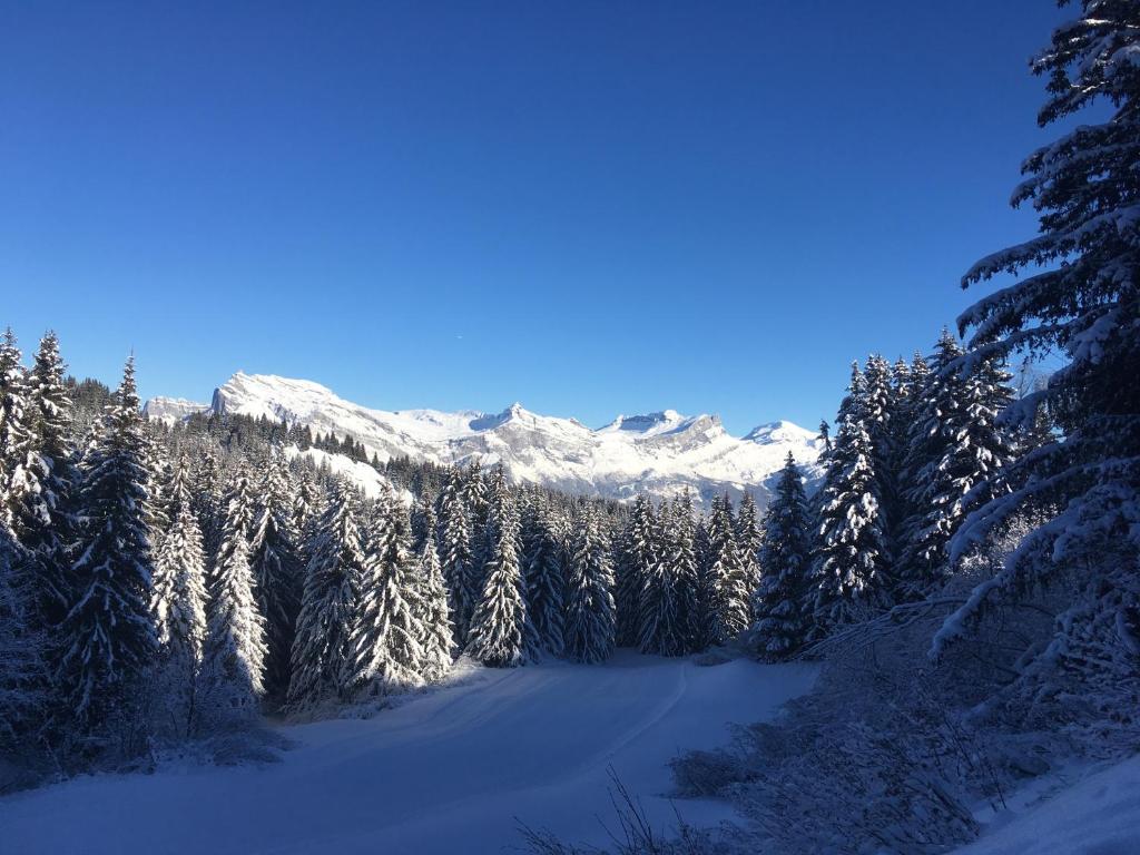 Chalet l'Aiglon