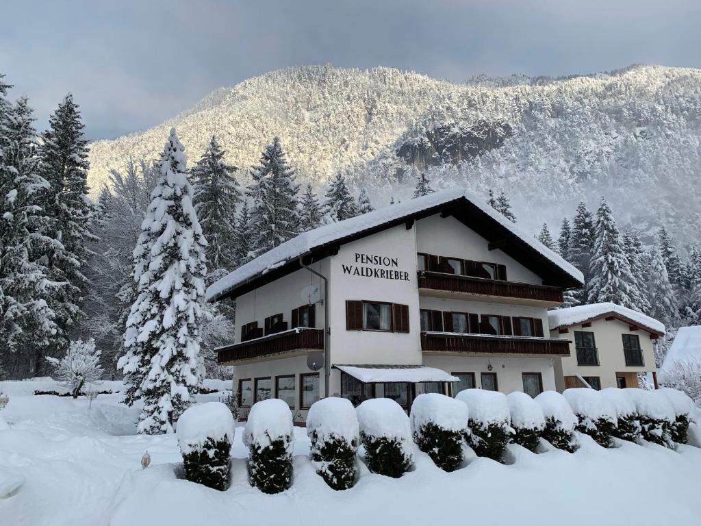 Pension & Apartments Waldkrieber v zimě