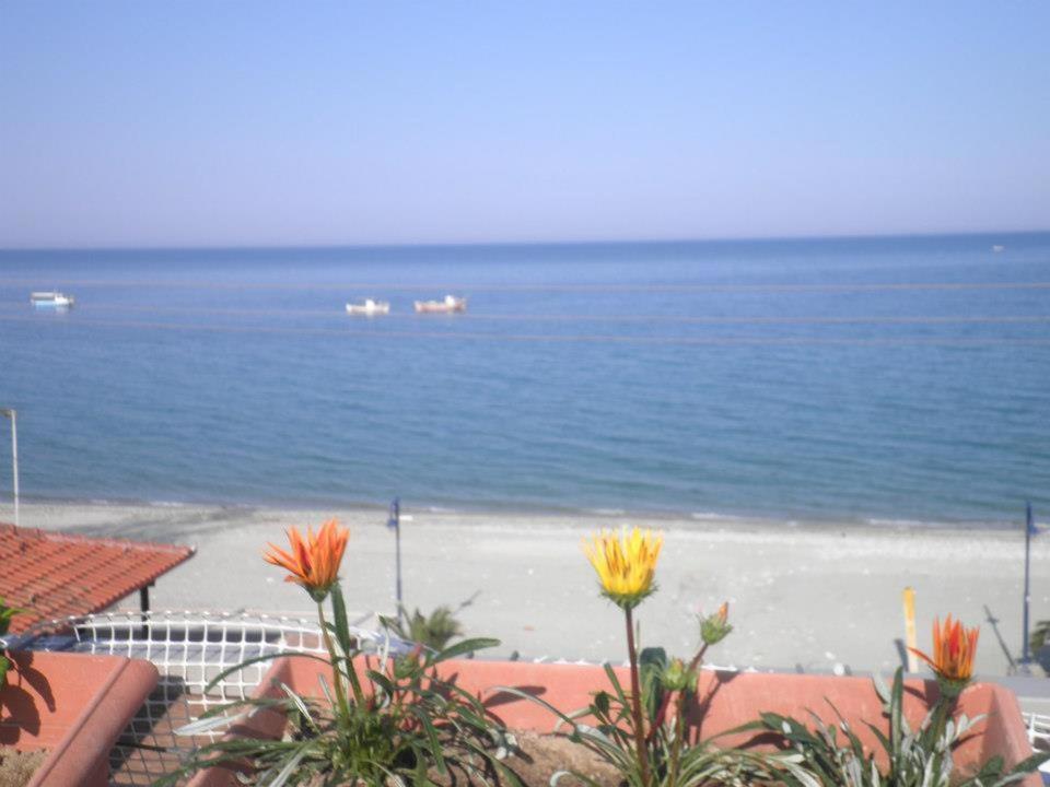 vistas a la playa y al océano con flores en Anastasia Apartments, en Leptokarya