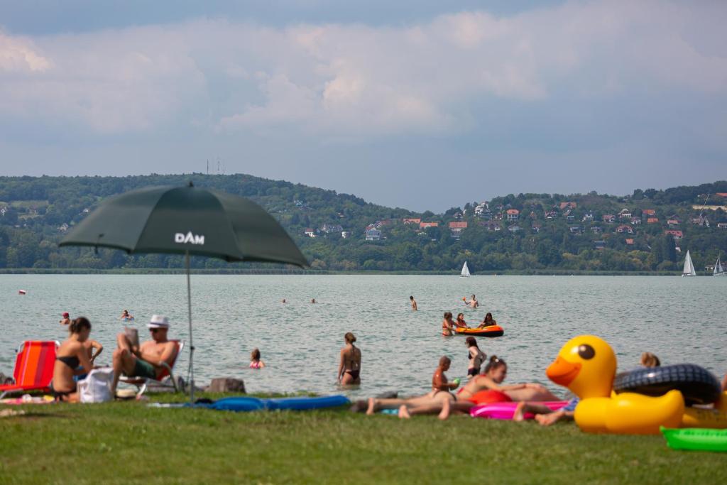Příroda nedaleko kempu