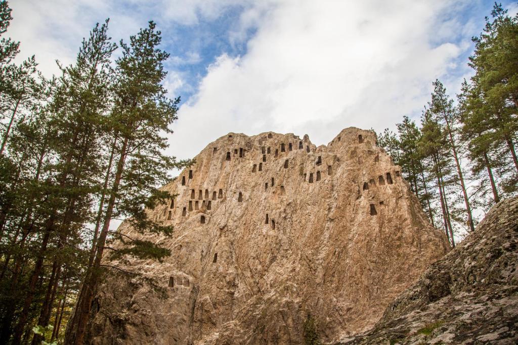 Příroda nedaleko apartmánu