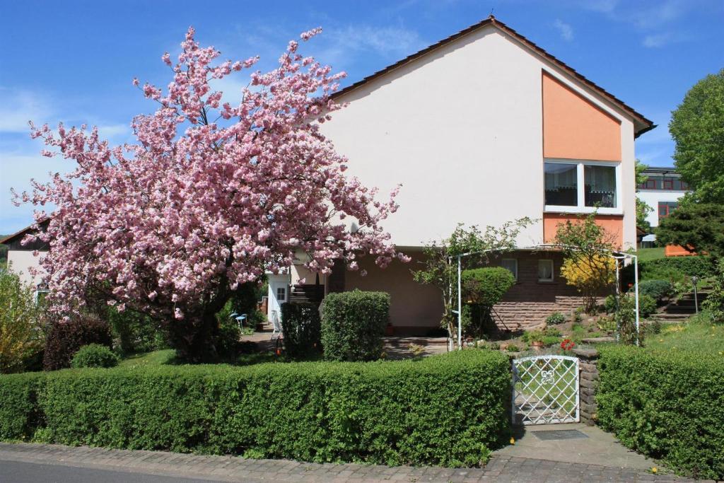 a pink flowering tree in front of a house at Haus Müller Adelheid in Hilders