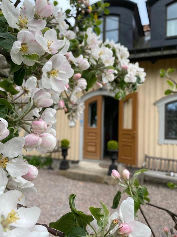 un montón de flores blancas delante de una casa en Runnvikens Pensionat, en Tystberga