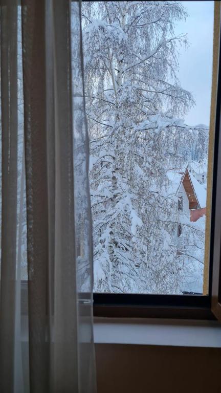 Borovnica Sweet Apartments - 11