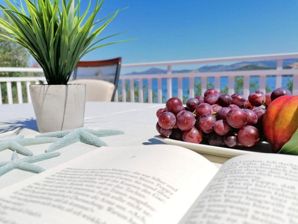 um prato de fruta numa mesa com um livro aberto em Holiday Home Blue Dream em Putniković
