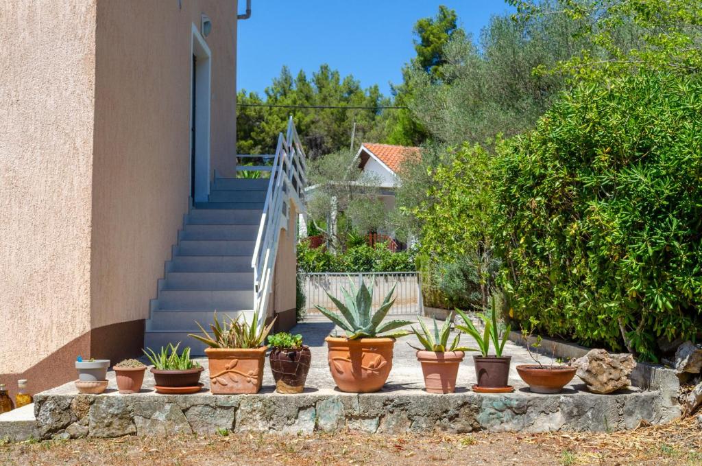 Vonkajšia záhrada v ubytovaní Namoru apartaments