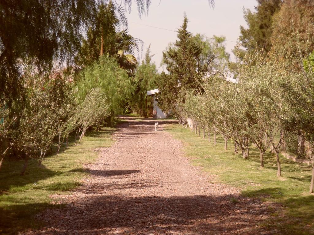 Jardín al aire libre en Casas de Campo Los Corralitos