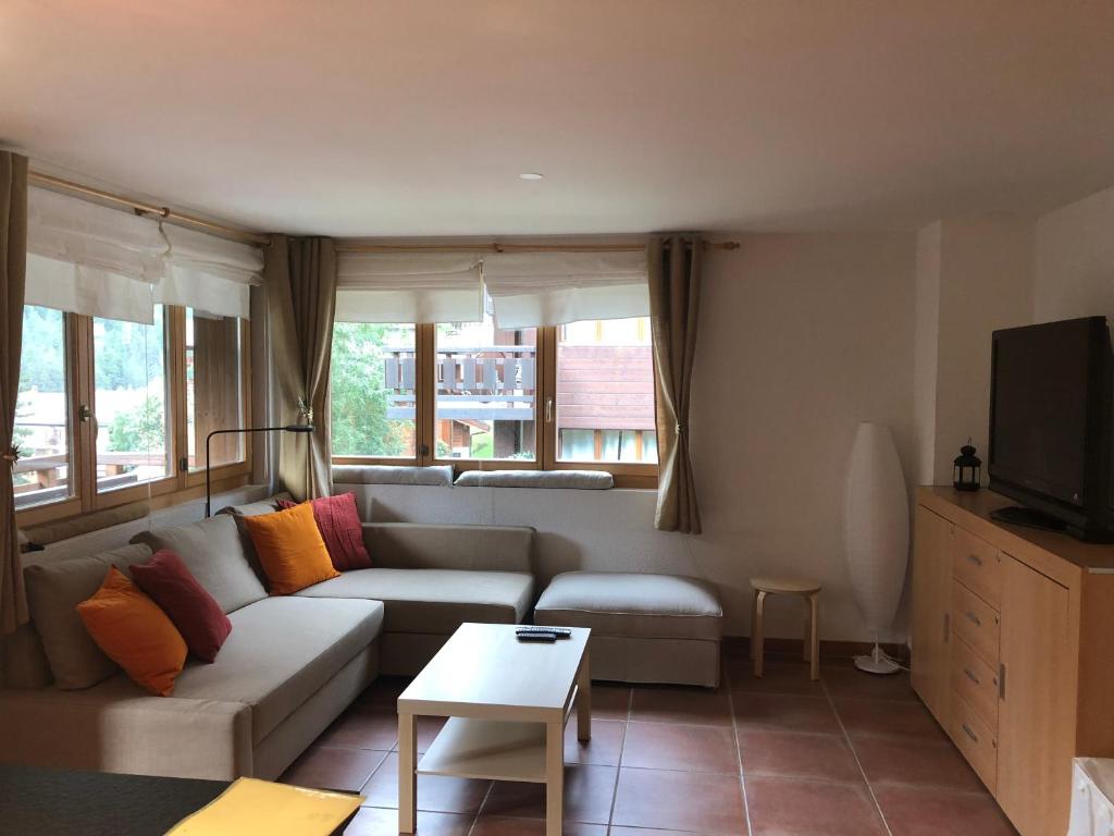 a living room with a couch and a tv at Au Pied des Pistes B 04 in Grimentz