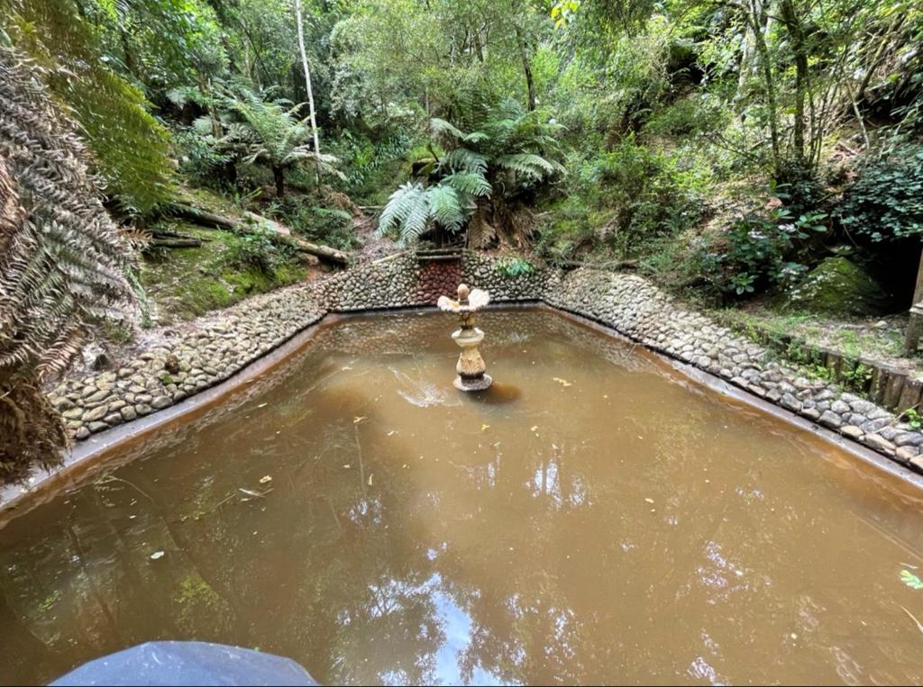  Refúgio na Cachoeira