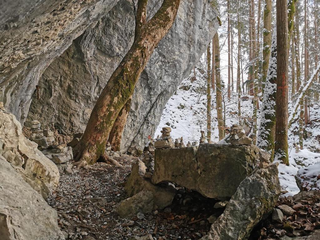 Příroda nedaleko apartmánu