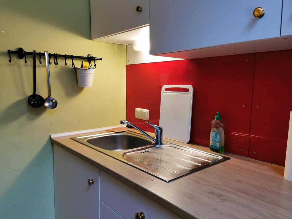 Kuchyňa alebo kuchynka v ubytovaní Villa Eisenwerk